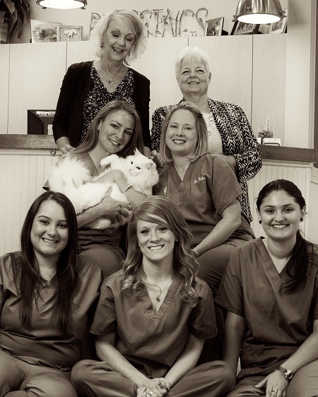 Egret Bay Veterinary Hospital team in League City TX