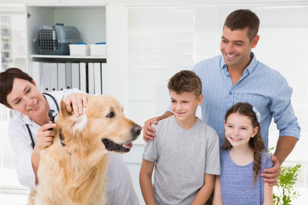 new veterinary clients in League City TX