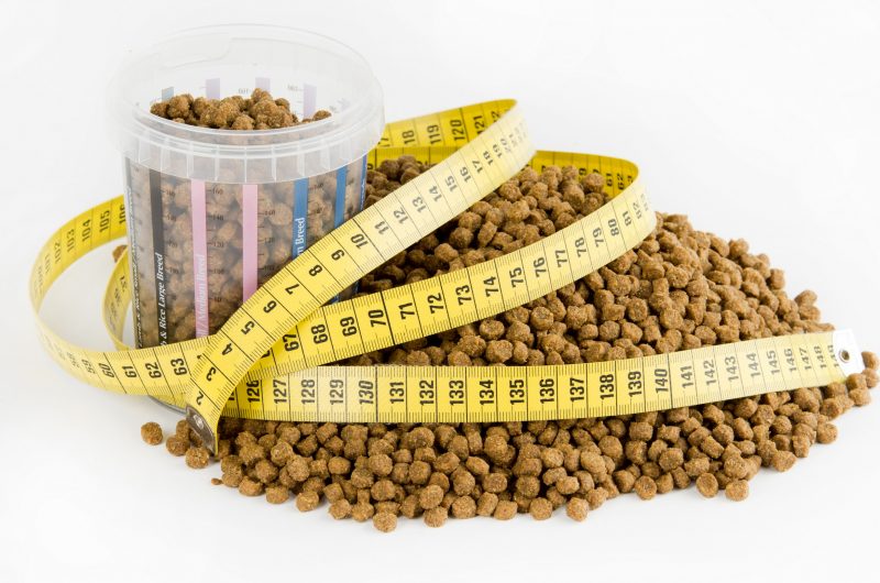 pet nutritional counseling in League City TX