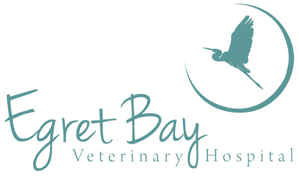 Egret Bay Veterinary Hospital